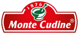 Monte Cudine